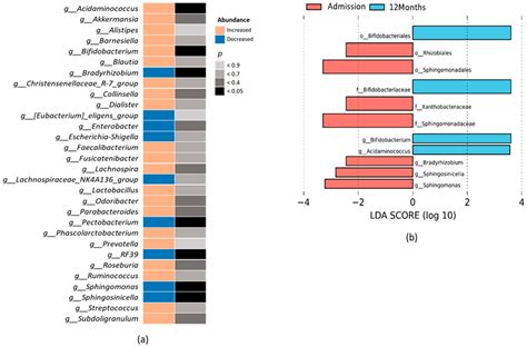 Ijms Free Full Text Gut Microbiota And Derived Short Chain Fatty