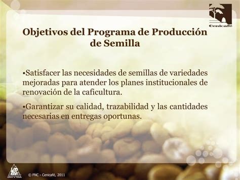 Producción y distribución de semillas de variedades de café mejoradas PPT