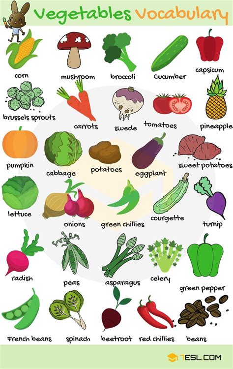 Vegetable Names • 7ESL | Bài học tiếng anh, Tiếng anh, Giáo dục