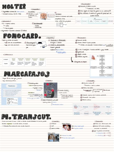 Presentaciones 1 286 Pdf