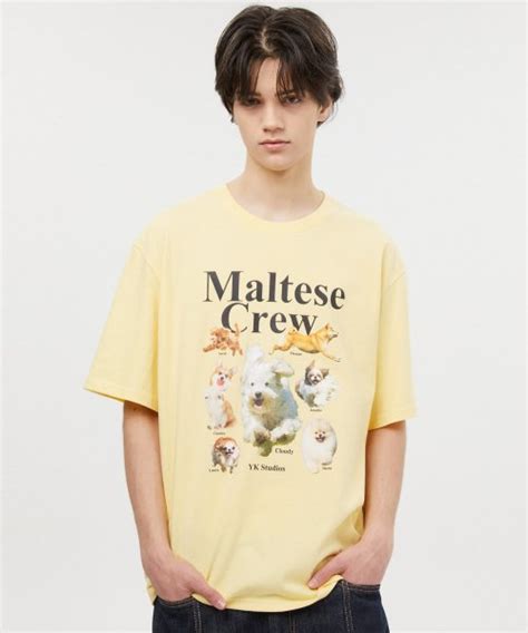 Musinsa Wai Kei Maltese Crew Short Sleeve T Shirt Light Yellow