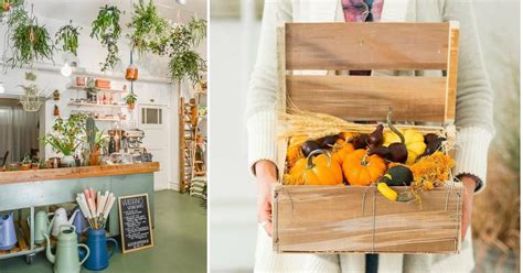 Decoración Con Plantas Y Fechas Especiales Una Hermosa Manera De