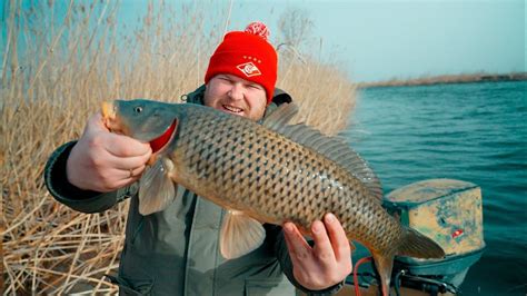 Астраханский сазан. Бешеный клёв. Рыбалка в Астрахани 2024 - YouTube
