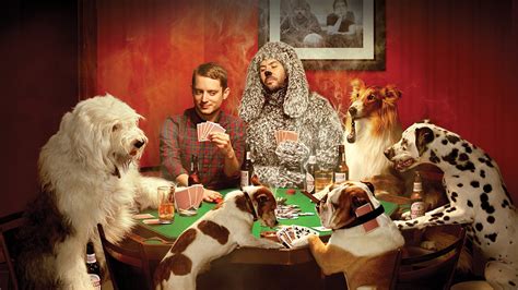 Wilfred (TV Series 2011-2014) - Backdrops — The Movie Database (TMDB)