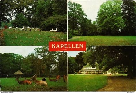 Kapellen Kapellen Park Multi Vues Oblitération De 1979