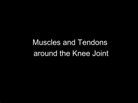 Slideshow Knee Joint Ppt