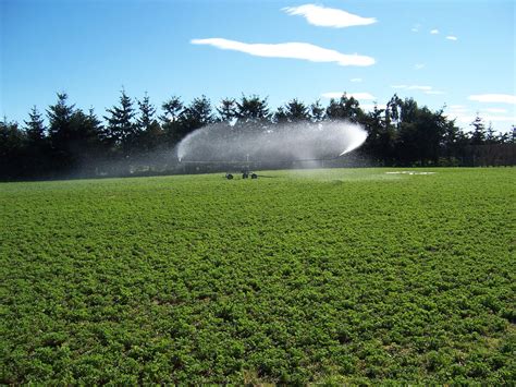 Plucks Engineering Water Irrigation Experts Since 1966