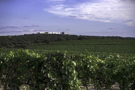 Guía Peñín de Enoturismo Finca Antigua Peñín El nuevo Peñín