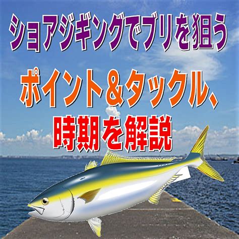 【ルアー初心者必見！】ショアジギングでブリを狙う、ポイント＆タックル、時期を解説 釣り情報サイトルアー、堤防釣り、仕掛け、釣り方