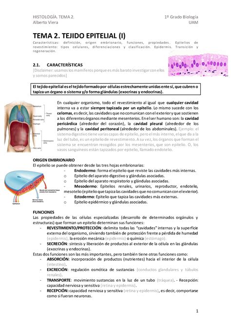 His Ap T2 Tejido Epitelial I Alberto Viera Uam Tema 2 Tejido Epitelial I Ca Ra Cterí S