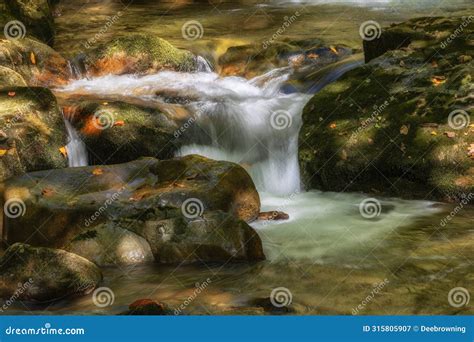 Rocky Fork Creek In The Cherokee National Forest In Tennessee Usa