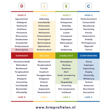 DISC Profiel Waarom Je Meer Bent Dan Alleen Je Hoge Kleur