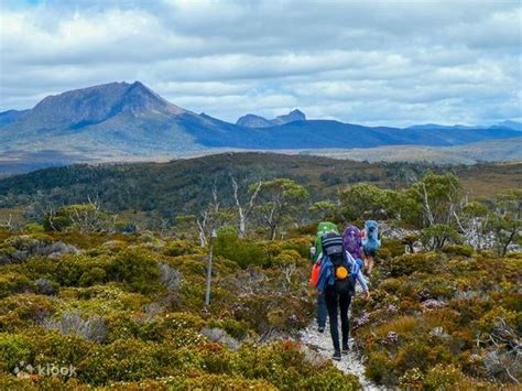 Cradle Mountain Overland Track Trekking Tour From Launceston Klook