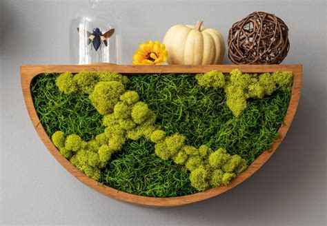 18 Soothing Moss Wall Décor Designs You Wont Be Able To Resist