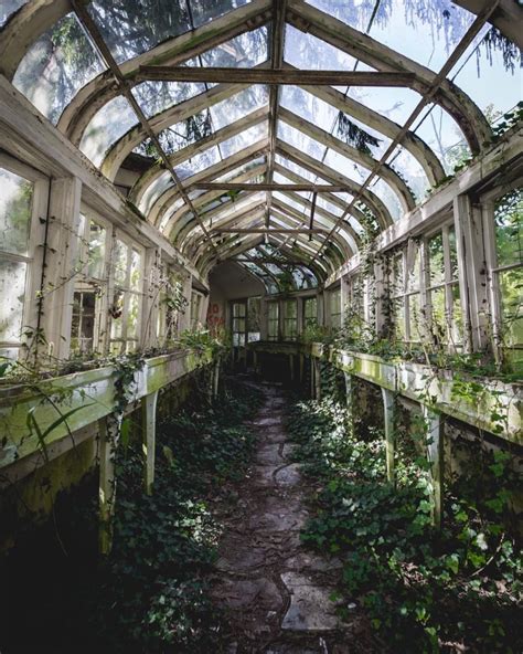 Beautiful Abandoned Places On Instagram Overgrown Greenhouse By