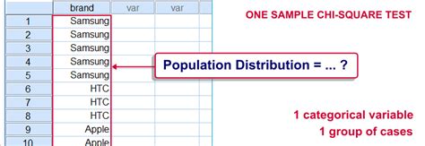 SPSS One Sample Chi-Square Test