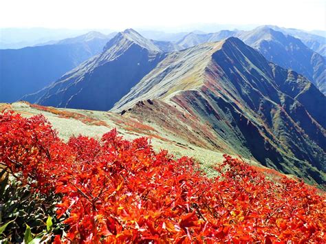 紅葉の谷川連峰馬蹄形縦走を満喫！