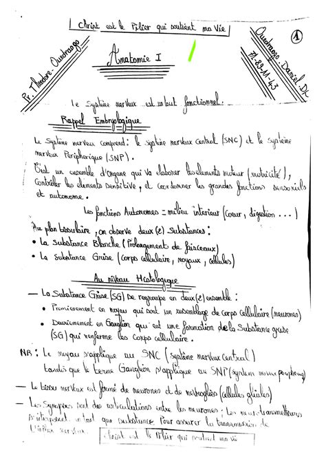 Solution Neuro Anatomie Theodore Studypool