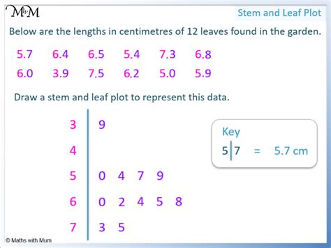 How To Read And Understand Stem And Leaf Plots Maths With Mum