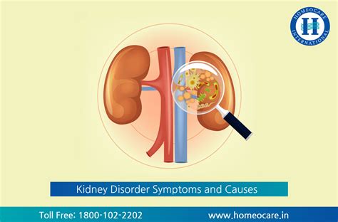 Chronic Kidney Disease Symptoms And Causes