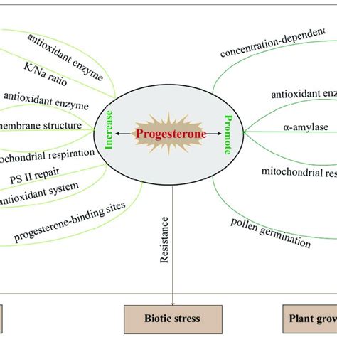 The Summary Of Plant Progesterone Regulation During Growth