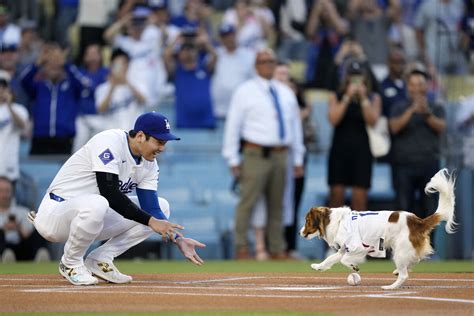 大谷翔平が史上8人目月間1010達成 デコピン始球式直後に42号先頭打者本塁打 スポーツ報知