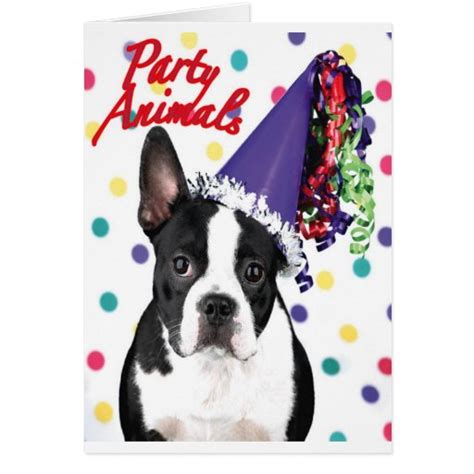 Boston Terrier Birthday Card Zazzle