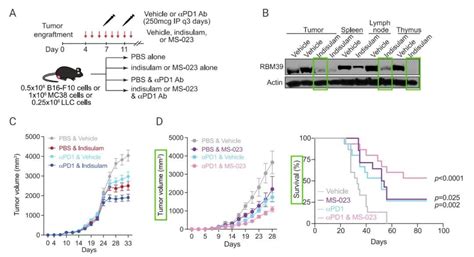 Rna Medchemexpress