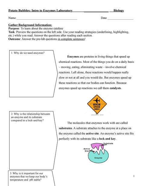 Enzyme Lab Reading Activity Edit Version Potato Bubbles Intro To