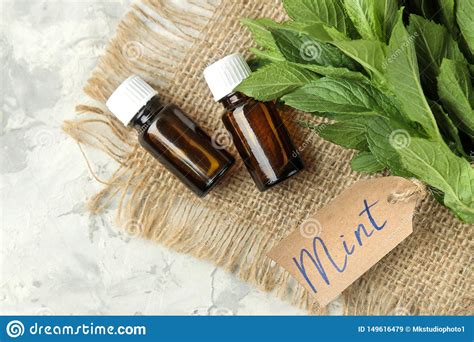 Menta Hojas Y Ramas De La Menta Salvaje Verde Fresca Con Una Muestra