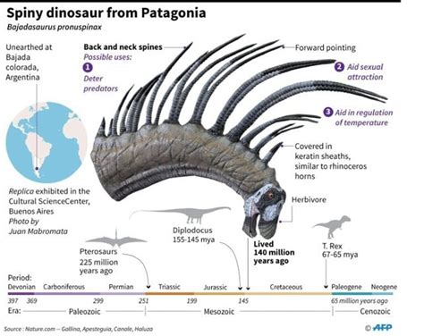 Bajadasaurus pronuspinax, l'assurdo dinosauro collo lungo con una spettacolare cresta spinosa