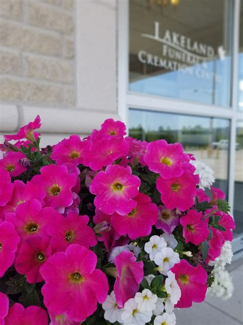 Comprehensive care at Lakeland Funeral and Cremation Centre 11