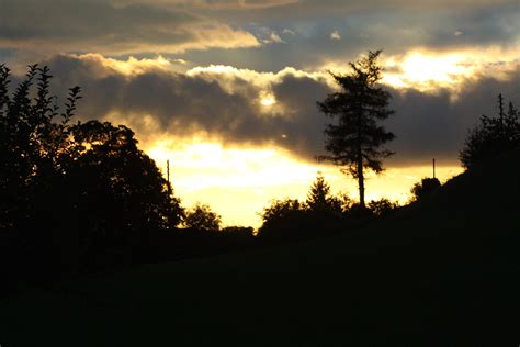 Fotos Gratis Paisaje Rbol Naturaleza Bosque Horizonte Silueta