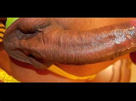 Mariquita Lamer Polla Queer XVIDEOS