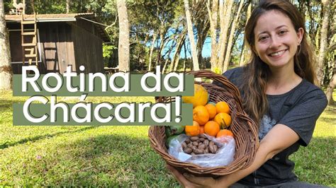 Rotina Da Ch Cara Melhorias Na Estrada Colheita De Nozes Youtube