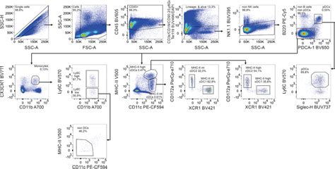 Guidelines For Dc Preparation And Flow Cytometry Analysis Of Mouse Lymphohematopoietic Tissues