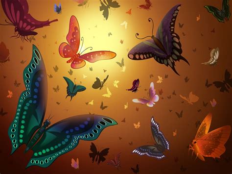 Beautiful Butterflies Butterflies Wallpaper 9482003 Fanpop