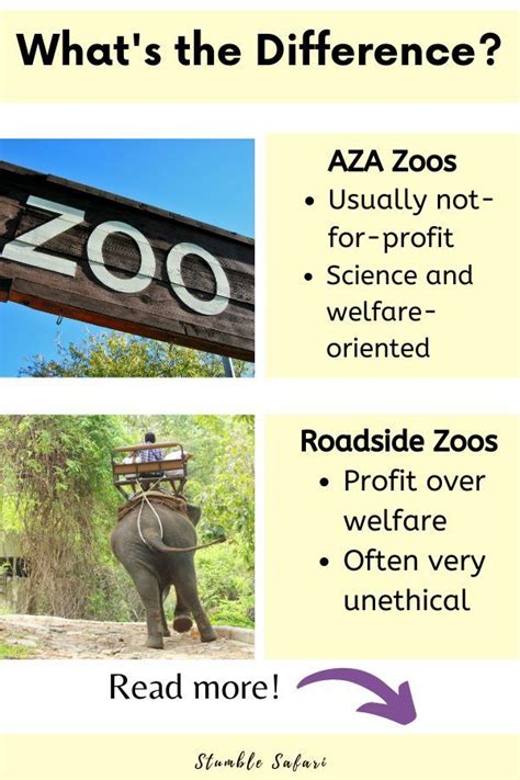 Aza Standards For Zoos