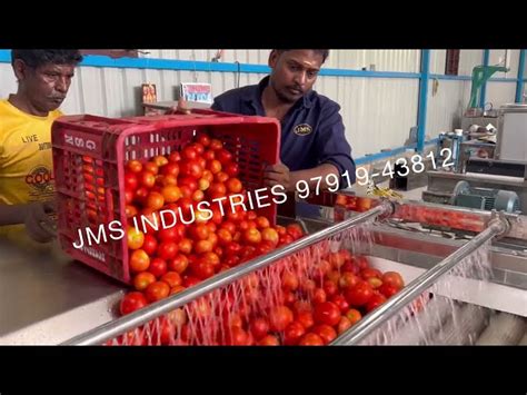 Automatic Fruits And Vegetables Washer Manufacturer From Coimbatore