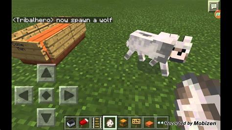 How To Make A Dog Bed In Minecraft Pe - Bed Western