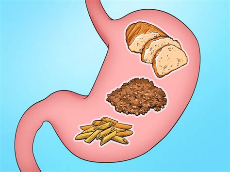 Por qué es importante conocer el tiempo de digestión de los alimentos