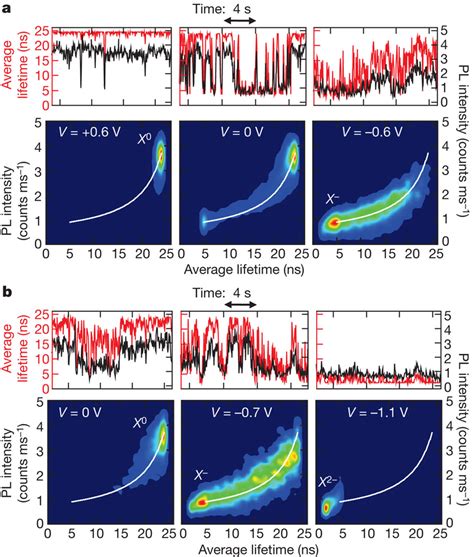 Correlated Photoluminescence Intensity And Lifetime Fluctuations