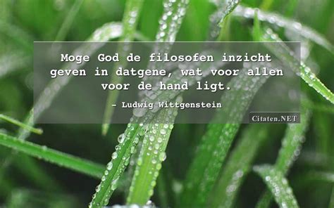 Citaten Net Ludwig Wittgenstein Moge God De Filosofen Inzicht Geven