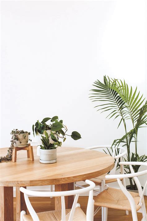 7 Ways To Style Plants Inside Your Tiny Urban Space Dining Table