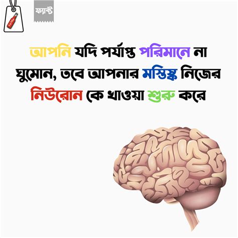 সবরই খদ পই শধ আপনর আর আমর নয BrainFacts NeuronFacts Food Hungry