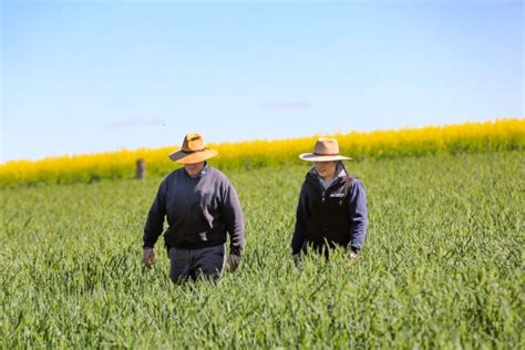 Local Land Services Are There For Farmers On The Ground