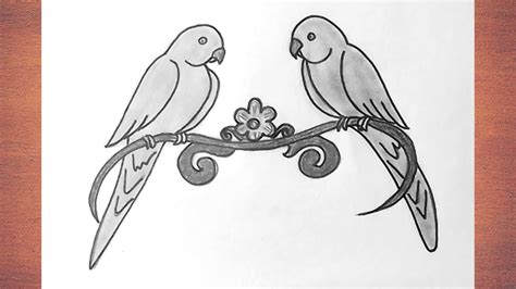 How To Draw Two Love Parrot Drawing Step By Step Parrot Drawing Two