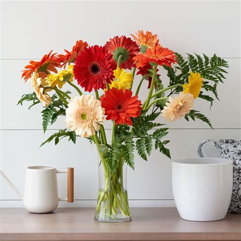 Tropical Breeze Gerbera Daisy Bouquet | White Flower Farm