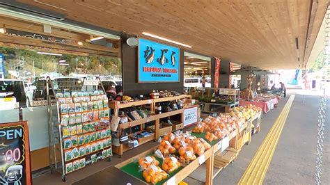 道の駅なぶら土佐佐賀（高知県黒潮町） ⇒ 天日塩の鰹の塩タタキ定食でランチ 仁淀川（によどがわ）〜日本一の清流