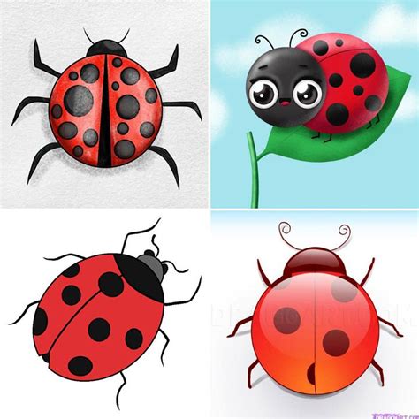 15 Easy Ladybug Drawing Ideas - How to Draw a Ladybug